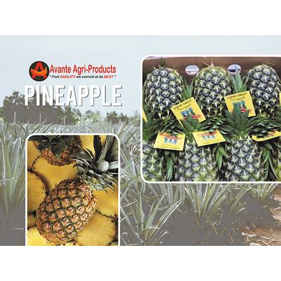 avante agri-products philippines inc